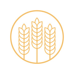 Oat symbol vector. sign. logo design. wallpaper.
