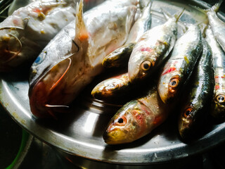 Kerala raw sardine and catfish in a plate.