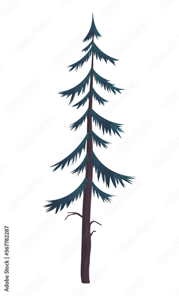 Poster silhouette of fir-tree. hight green pine. simple tree icon. nature concept. pine tree with needles i
