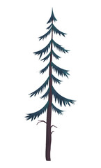 Silhouette of fir-tree. Hight green pine. Simple tree icon. Nature concept. Pine tree with needles isolated at white background. Decorative element. Plant shadow. Vector illustration
