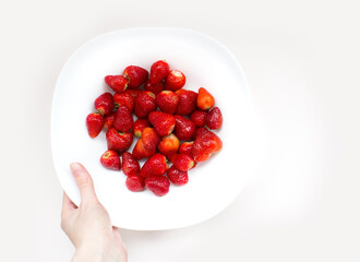 Strawberries in a white plate on a white background. The composition of strawberries on a colored background. Minimalism food. Top view of woman holding slice of strawberries  on plate