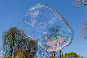 soap bubbles on tree