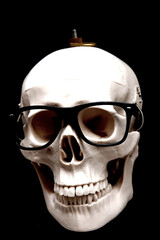 human skull isolated on black