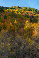 Autumn colors in the mountains surrounding Arrowtown in New Zealand