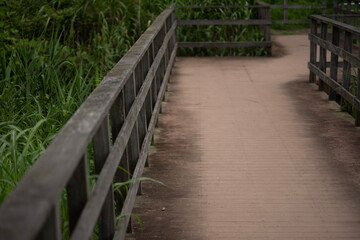 wooden bridge in the forest