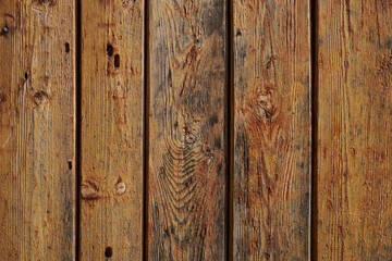 Naklejka premium background texture of an old tree