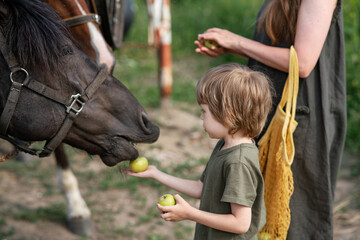 Little boy and his mom feeding and petting the horses. Hippotherapy concept