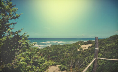 View of sand dunes and sea in Sabaudia -  Latina Italy