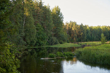 Summer green rural nature landscape. Summer nature view. Summer nature landscape