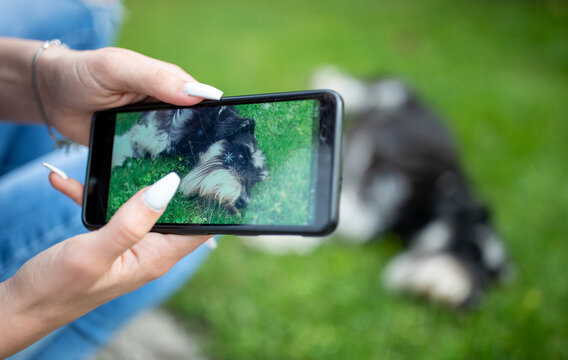 Girl taking shots of dog with mobile phone
