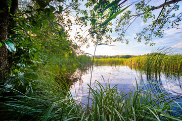 Jezioro roślinność © HORECA MEDIA