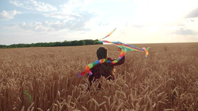 childhood dream concept happy family. kid girl run with a kite in a field of wheat. daughter child play flying kite at sunset lifestyle. harvesting agriculture concept