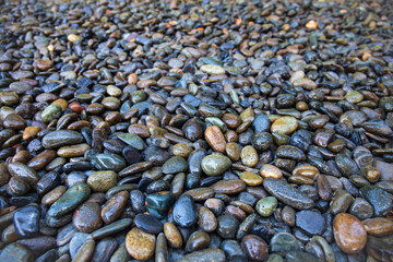 beautiful sea stone background.