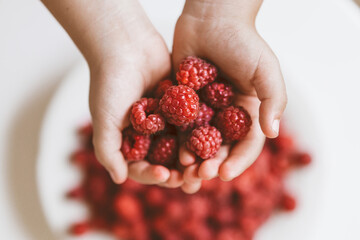 Raspberries. Healthy food, childhood and development. Little boy holding fresh raspberries in his hands