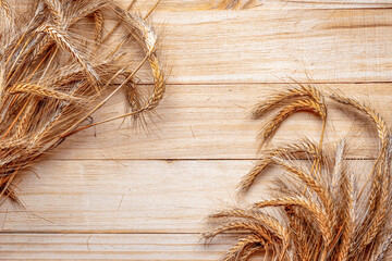 Oats field. Wheat grain ear or rye spike plant isolated on brown wood plank background, for cereal...