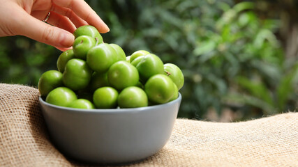 Green plums in a gray bowl in front of green leaves. summer fruit green plum. A hand picking a plum bowl.