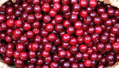 red cherries in a basket