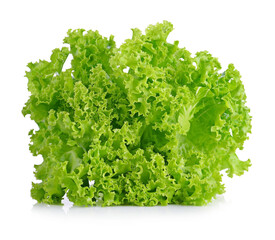 Fresh  lettuce leaves isolated on white background.