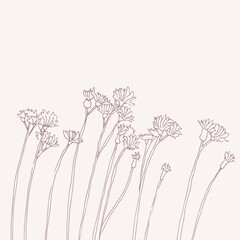 Herbs and flowers vector sketch illustration, wild grasses and flowers sway in the wind, isolated on light background