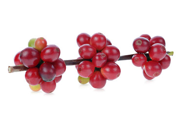 Coffee beans isolated on white  background