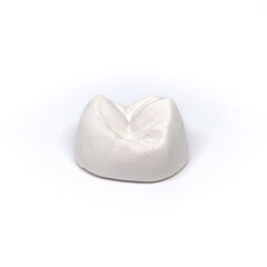 Plaster model of a tooth