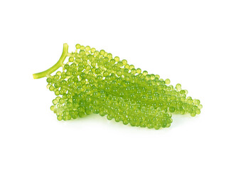 Oval sea grapes seaweed isolsted on white