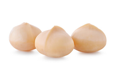 Macadamia nut isolated on white background.