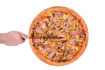 The chef cuts the pizza with a kitchen knife, top view. Delicious pizza with chicken breast, corn, bacon and mushrooms, isolated on white background