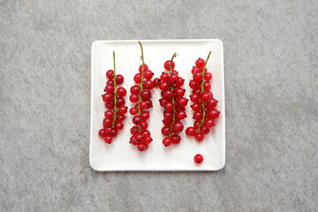 Fresh  brunches of red currants (ribes rubrum) in white plate top view on light background.