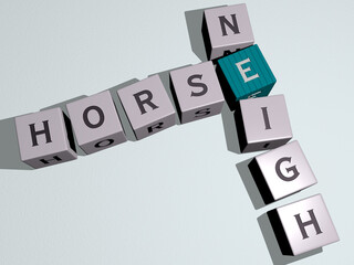 HORSE NEIGH combined by dice letters and color crossing for the related meanings of the concept. animal and illustration