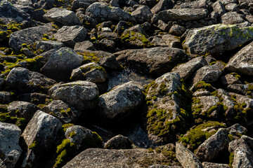 Large boulders of rock, in a national park in the Polar Urals, Russia. Hiking concept.