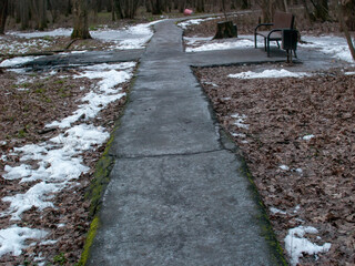 paved path in the forest in winter, Moscow