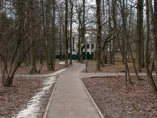 paved path in the forest in winter, Moscow