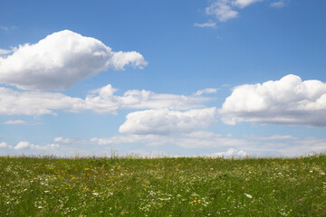 niebo blue sky cloud niebo chmury lato summer łąka meadow polana lea - obrazy, fototapety, plakaty