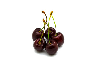 A set of cherries with the branches