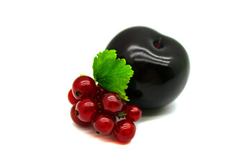 Black plum berry and red currant sprig with a leaf