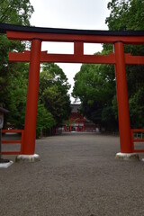 Shimogamo shrine in Kyoto, Japan