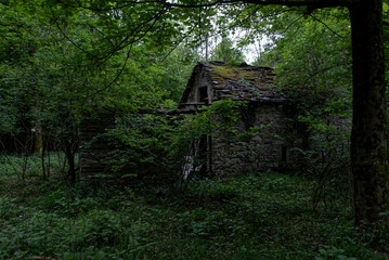 old derelict house in the woods near Varese