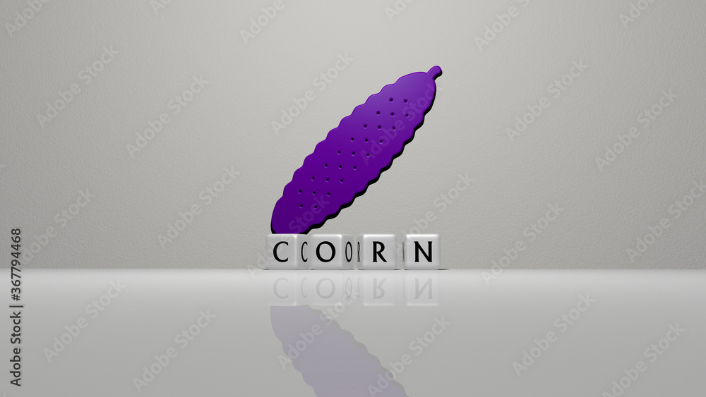 Poster 3D representation of CORN with icon on the wall and text arranged by metallic cubic letters on a mirror floor for concept meaning and slideshow presentation. background and agriculture