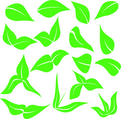 green leaves vector