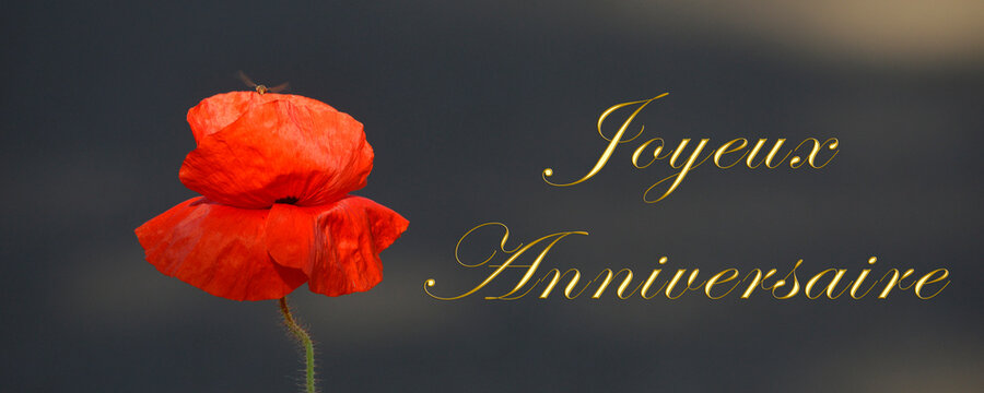 Joyeux Anniversaire Photos Royalty Free Images Graphics Vectors Videos Adobe Stock Joyeux Anniversaire Photos Royalty Free Images Graphics Vectors Videos Adobe Stock