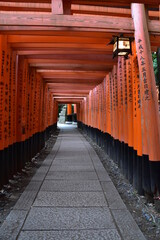 A thousant of gate in Inari shrine, Kyoto