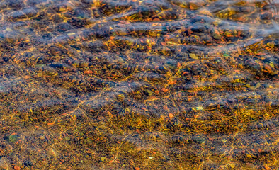 River bottom texture on a sunny July day.