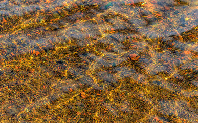 River bottom texture on a sunny July day.