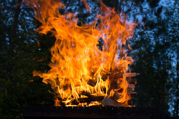 Flames from burning wood on the grill for grilling on the background of the forest.