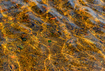 River bottom texture on a sunny July day.