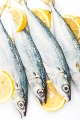 Mackerel, Fresh Fishes against White Background
