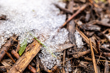 Detail of the ground of the field covered with ice after a snowfall, winter natural background.