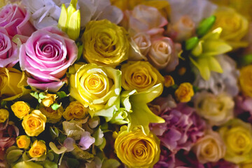 Close-up composition of yellow and pink roses