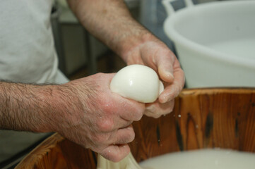 making buffalo mozzarella in the Campania region